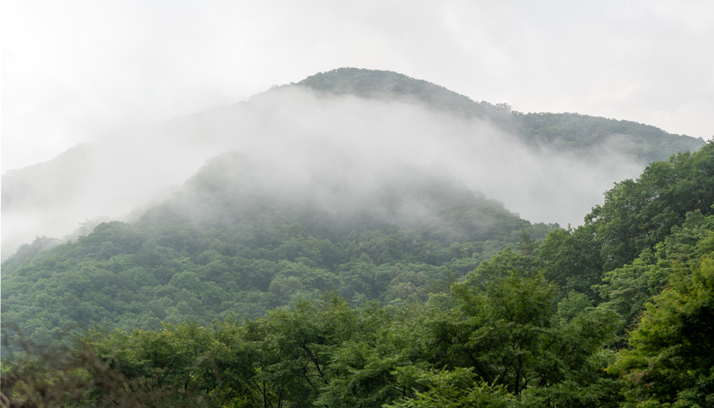 흥정계곡 캠핑700, 운무가 걷히고 있는 흥정산