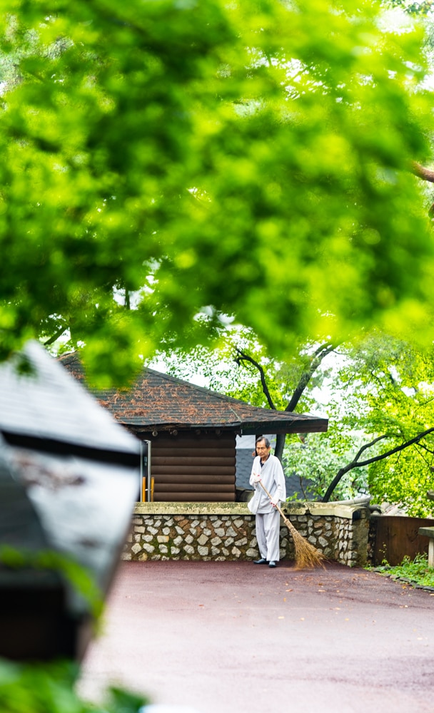 길상사 꽃무릇, 천재시인을 사랑한 여인의 사랑법 39