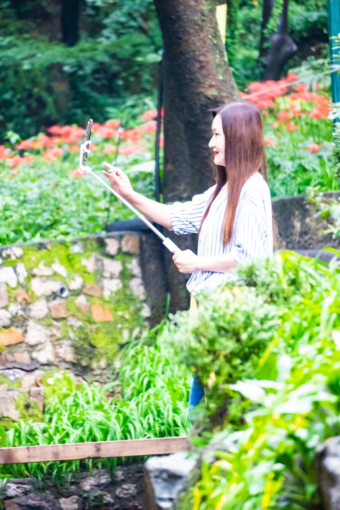 길상사 꽃무릇, 천재시인을 사랑한 여인의 사랑법 50