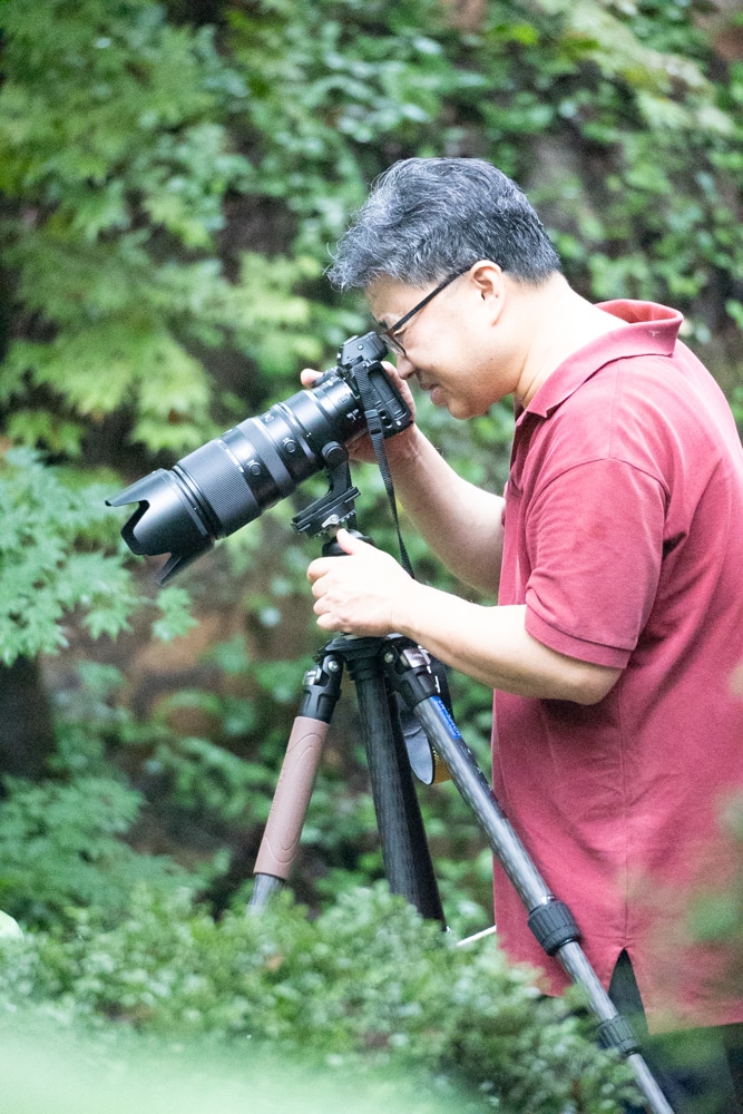 길상사 꽃무릇, 천재시인을 사랑한 여인의 사랑법 49