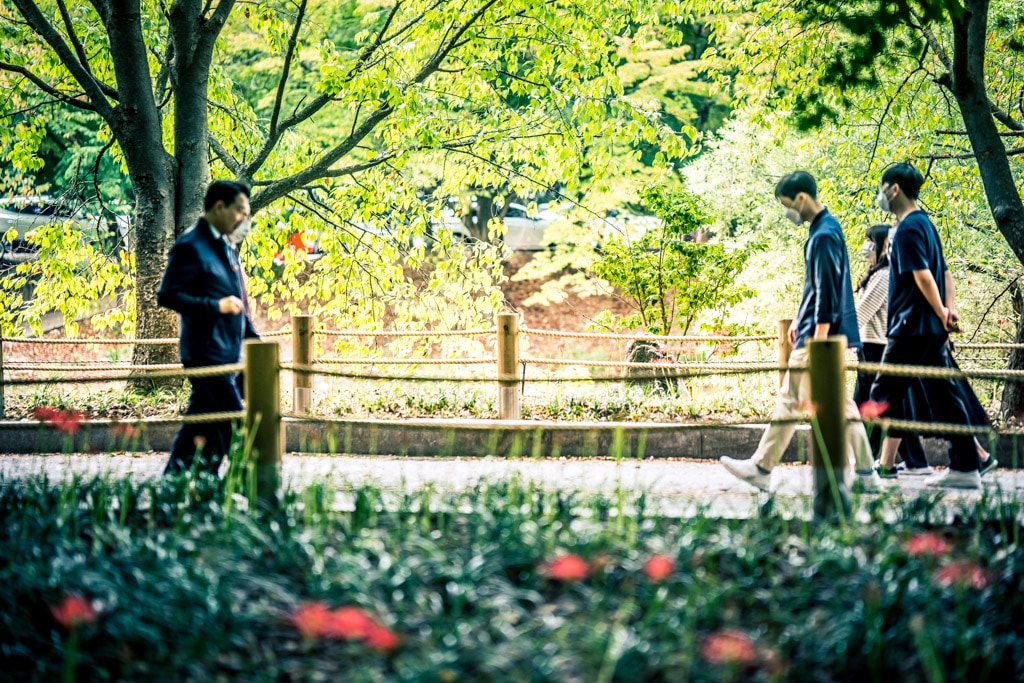 분당 중앙공원 꽃무릇을 즐기는 사람들