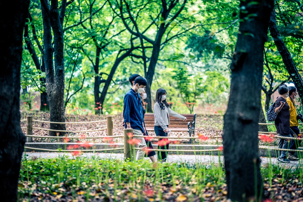 분당 중앙공원 꽃무릇을 즐기는 사람들