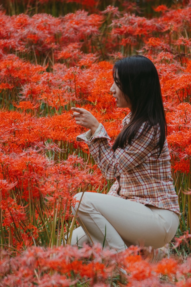 선운사 꽃무릇을 담아보다 35