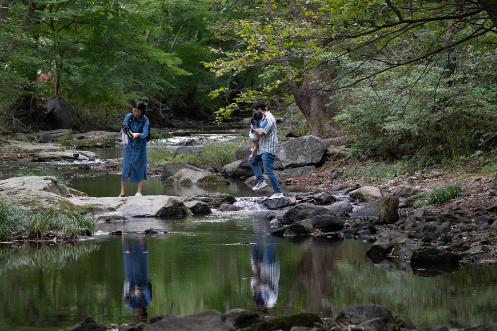 선운사 꽃무릇을 담아보다 18