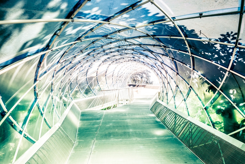 안양예술공원, 나무 위의 선으로 된 집(Linear Building Up in the Trees) 11