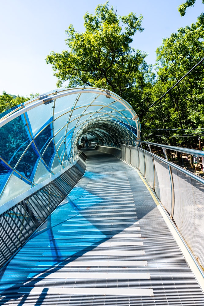 안양예술공원, 나무 위의 선으로 된 집(Linear Building Up in the Trees) 9