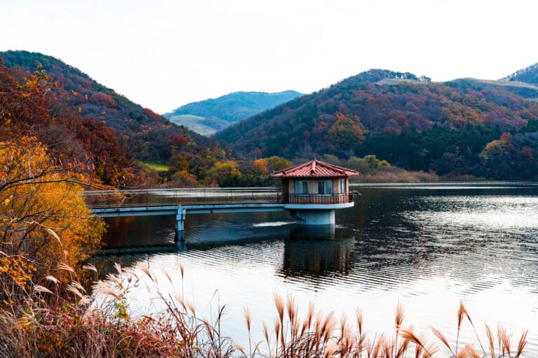 서산 용유지 만추