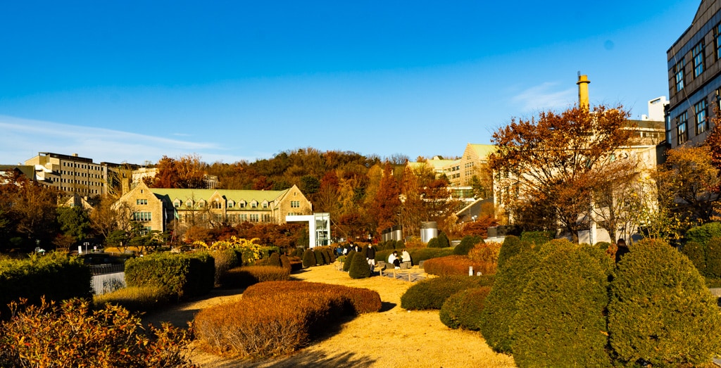 2022년 이화여대 가을 풍경, feat 논술고사 7 2022년 이화여대 가을 풍경, feat 논술고사 7