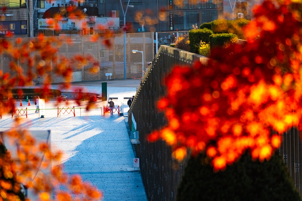 2022년 이화여대 가을 풍경, feat 논술고사 3 2022년 이화여대 가을 풍경, feat 논술고사 3