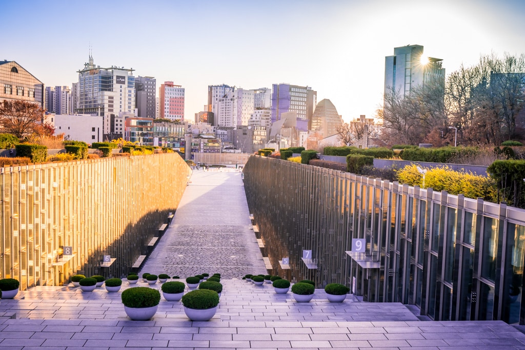 2022년 이화여대 가을 풍경, feat 논술고사 5 2022년 이화여대 가을 풍경, feat 논술고사 5