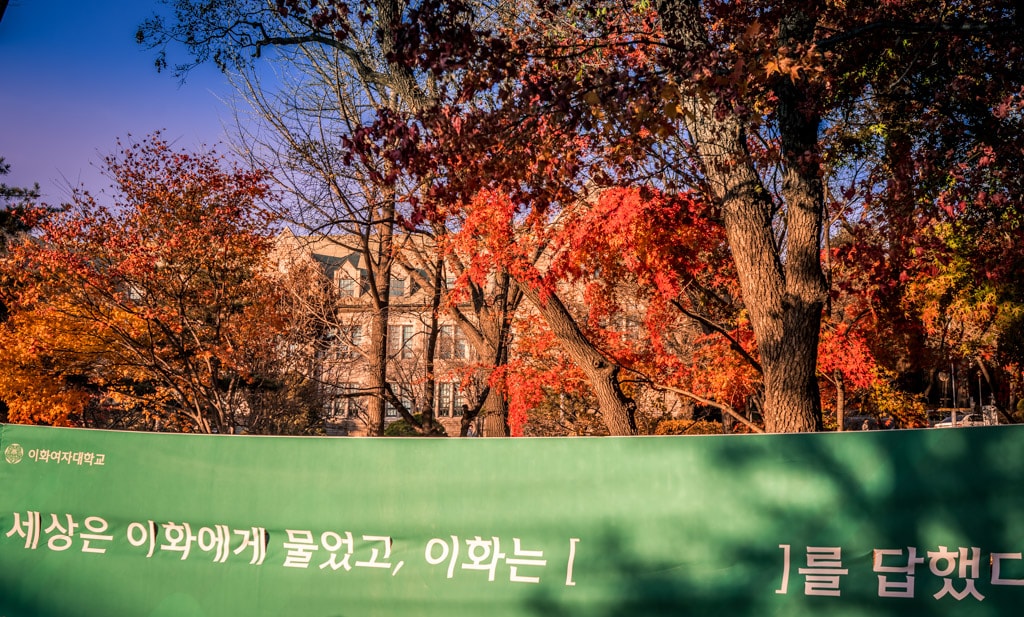 2022년 이화여대 가을 풍경, feat 논술고사 15 2022년 이화여대 가을 풍경, feat 논술고사 15