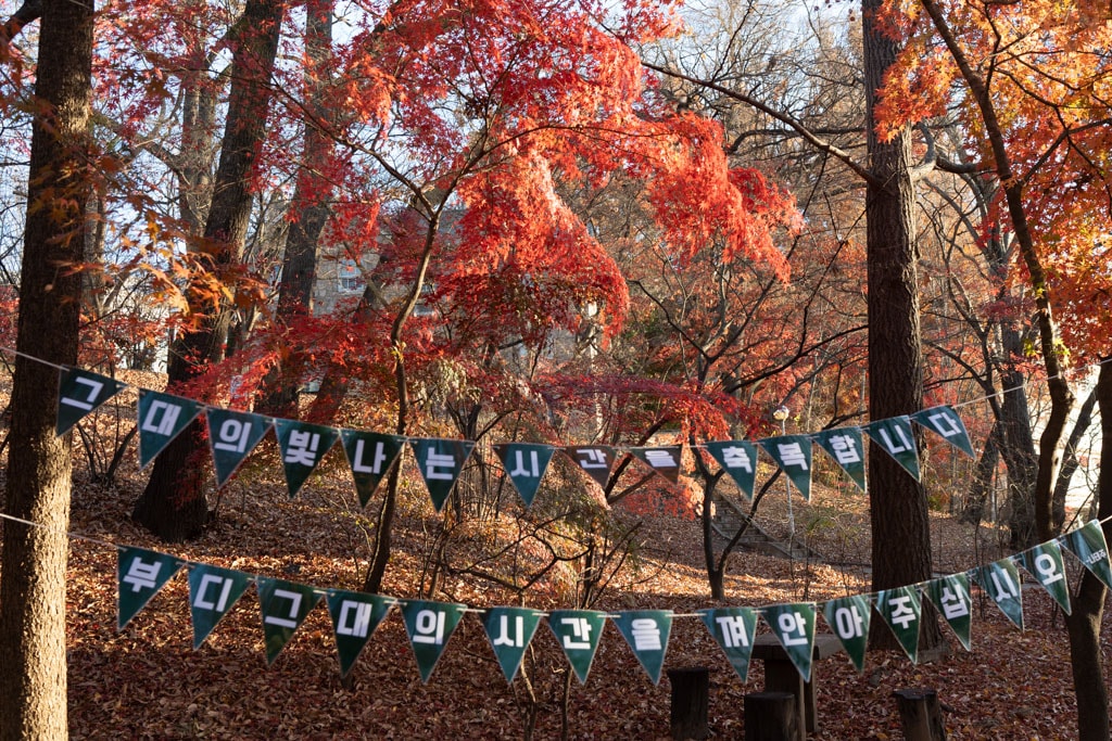 2022년 이화여대 가을 풍경, feat 논술고사 14 2022년 이화여대 가을 풍경, feat 논술고사 14