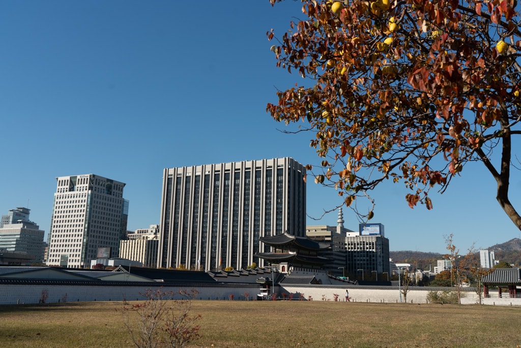 고궁의 가을을 느끼며, 경복궁 가을, 창덕궁 가을을 만나다 2