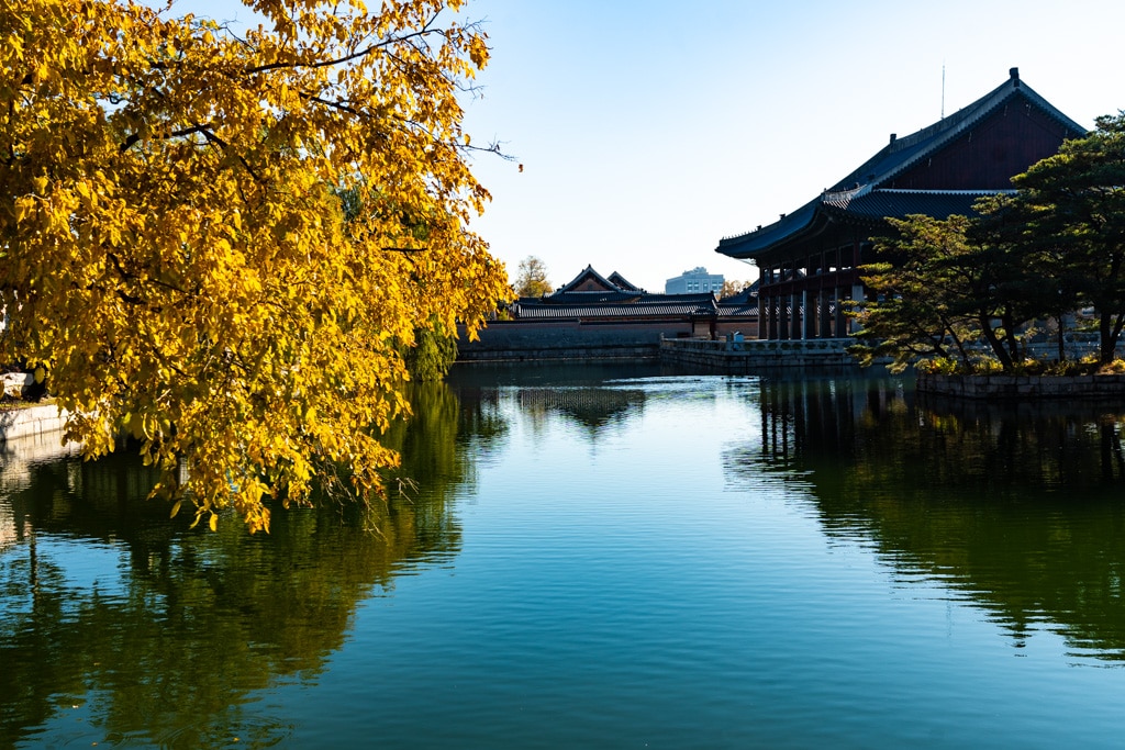 고궁의 가을을 느끼며, 경복궁 가을, 창덕궁 가을을 만나다 5