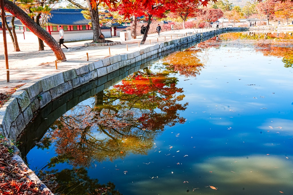 고궁의 가을을 느끼며, 경복궁 가을, 창덕궁 가을을 만나다 10