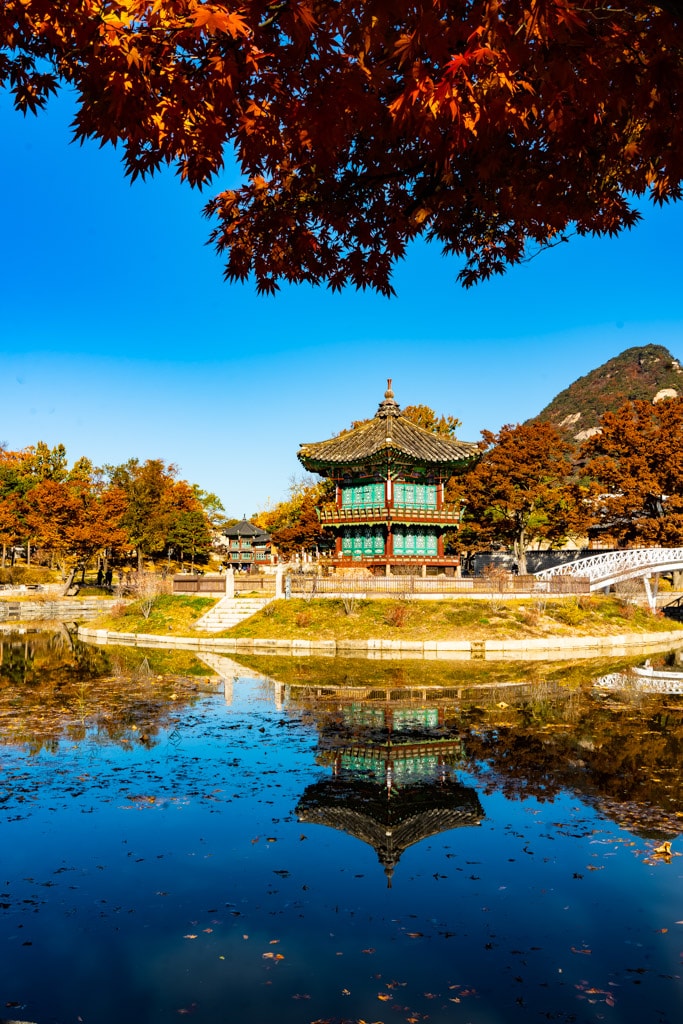 고궁의 가을을 느끼며, 경복궁 가을, 창덕궁 가을을 만나다 6