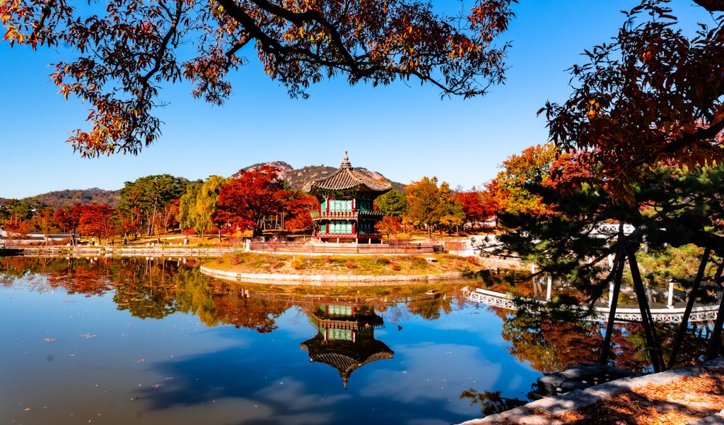 고궁의 가을을 느끼며, 경복궁 가을, 창덕궁 가을을 만나다 9