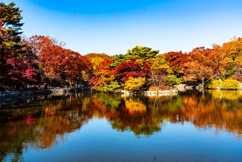 고궁의 가을을 느끼며, 경복궁 가을, 창덕궁 가을을 만나다 14