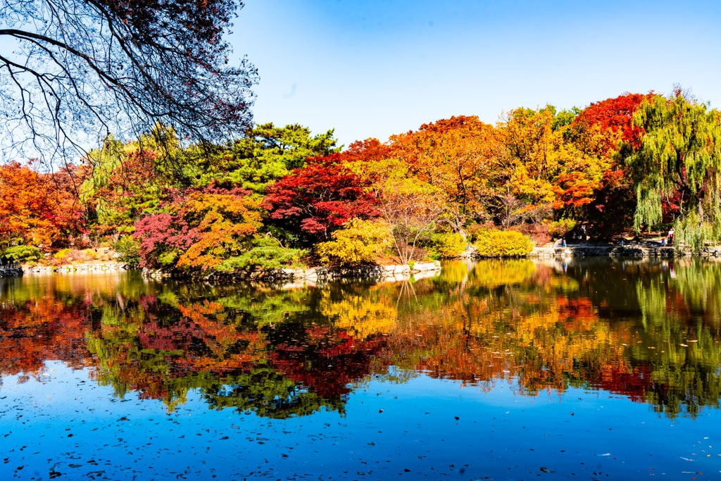 고궁의 가을을 느끼며, 경복궁 가을, 창덕궁 가을을 만나다 16