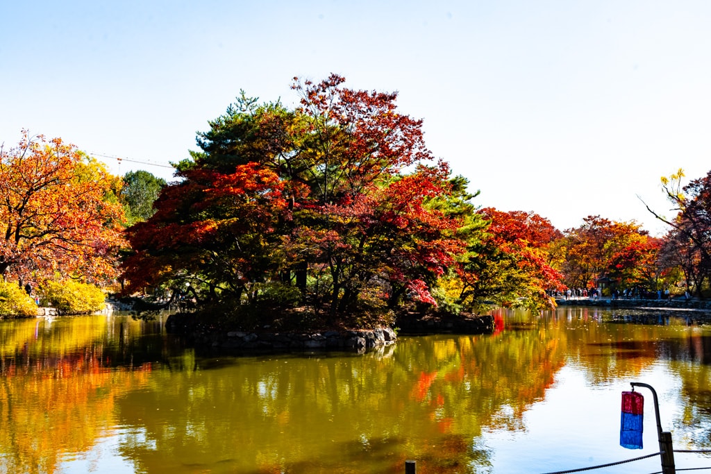 고궁의 가을을 느끼며, 경복궁 가을, 창덕궁 가을을 만나다 15