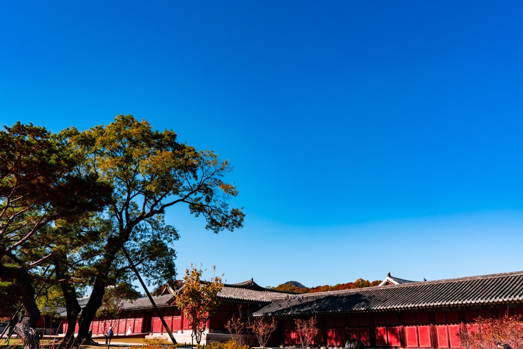 고궁의 가을을 느끼며, 경복궁 가을, 창덕궁 가을을 만나다 17