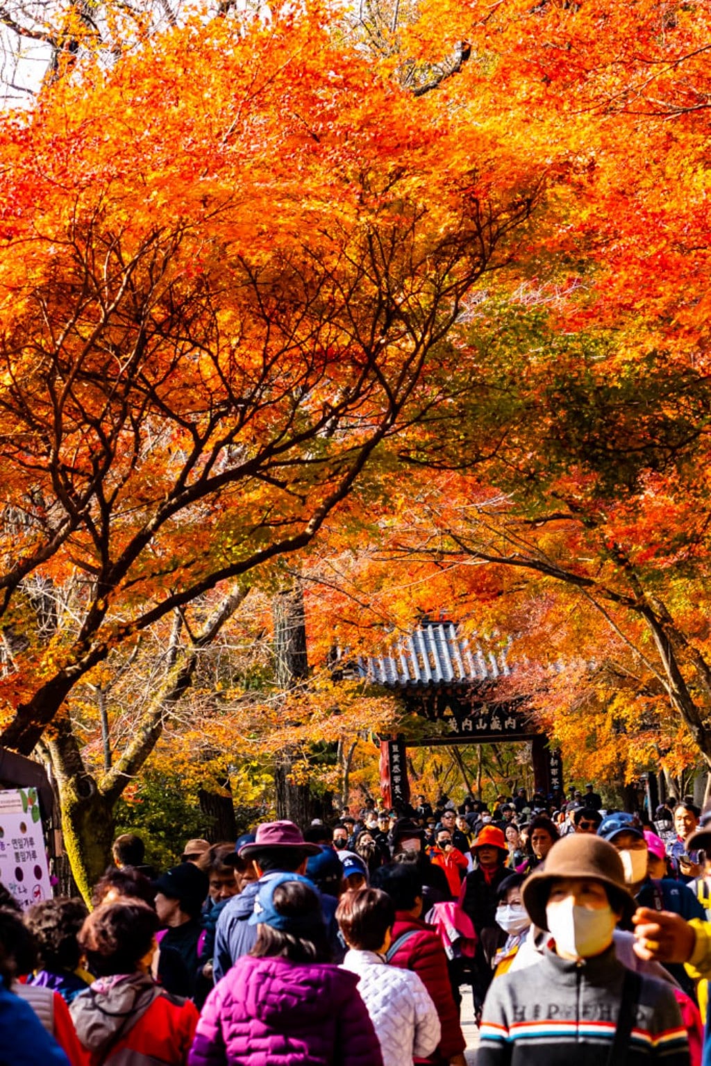 22년 내장산 단풍, 진 단풍이 더 아름답더라. 7 내장사 단풍 구경, 내장사 가는 길에 있는 일주문, 케이블 탑승장이 잇어 더욱 더 많은 사람들로 북적인다.