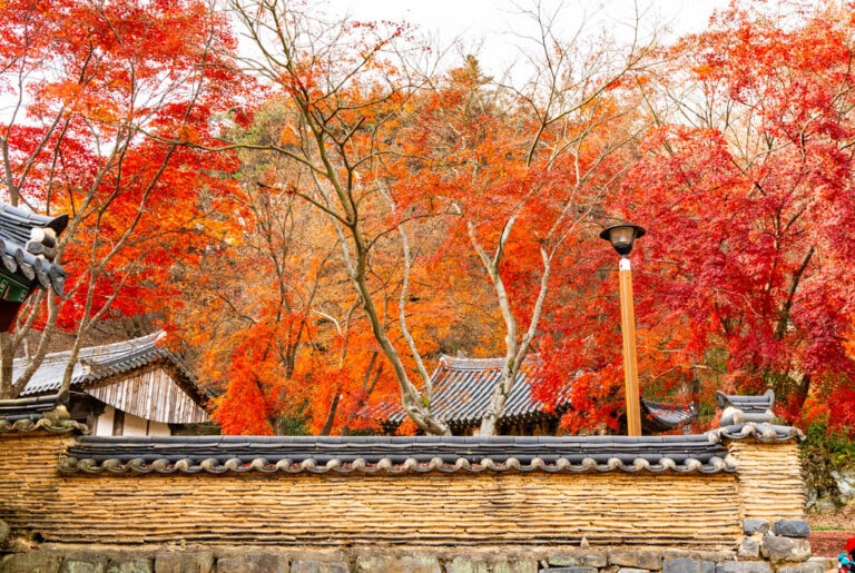 봄이 아름답다는 마곡사, 가을도 아름답다, 공주 마곡사 단풍 기행