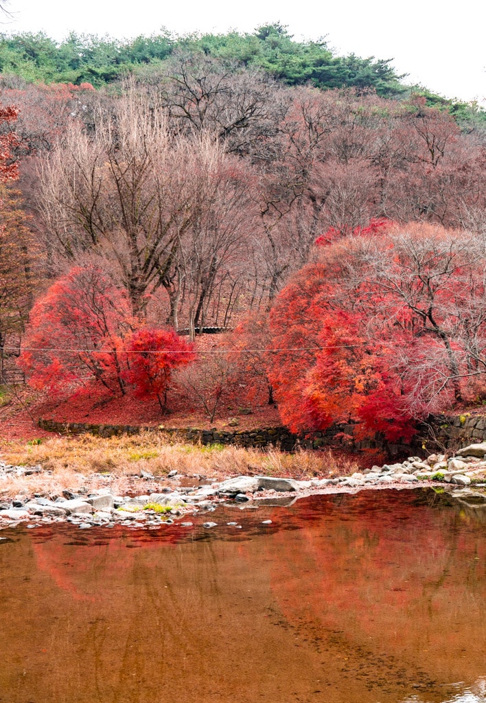 봄이 아름답다는 마곡사, 가을도 아름답다, 공주 마곡사 단풍 기행 23