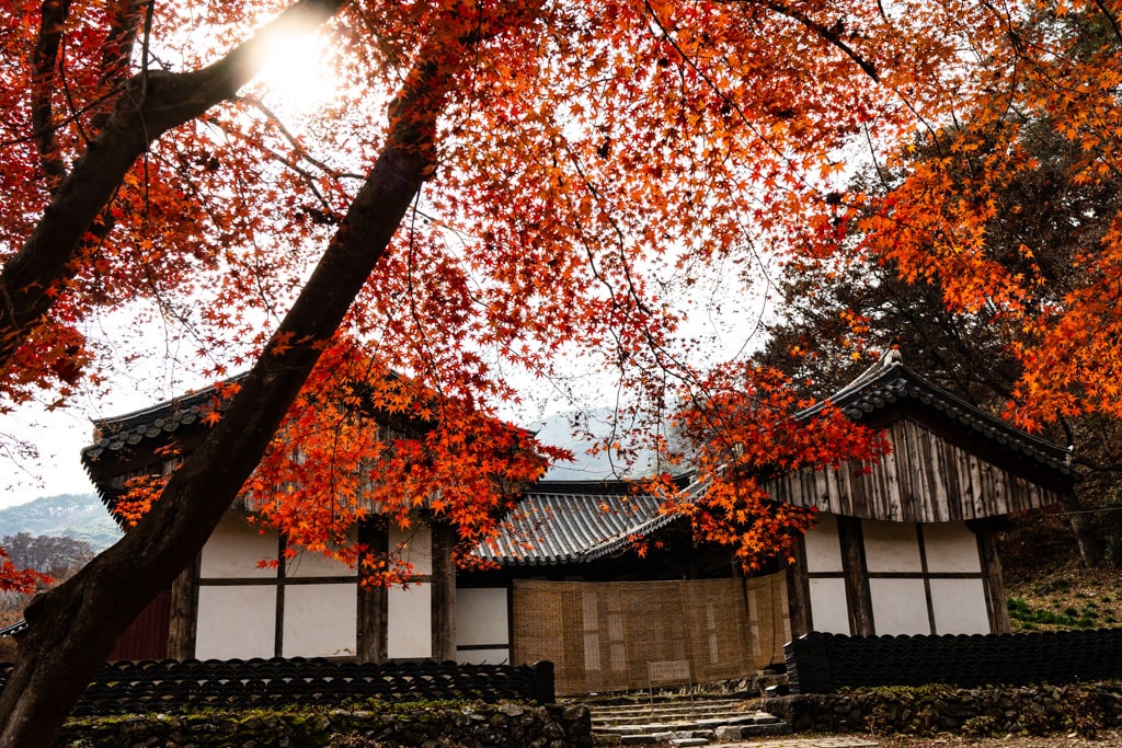 봄이 아름답다는 마곡사, 가을도 아름답다, 공주 마곡사 단풍 기행 27