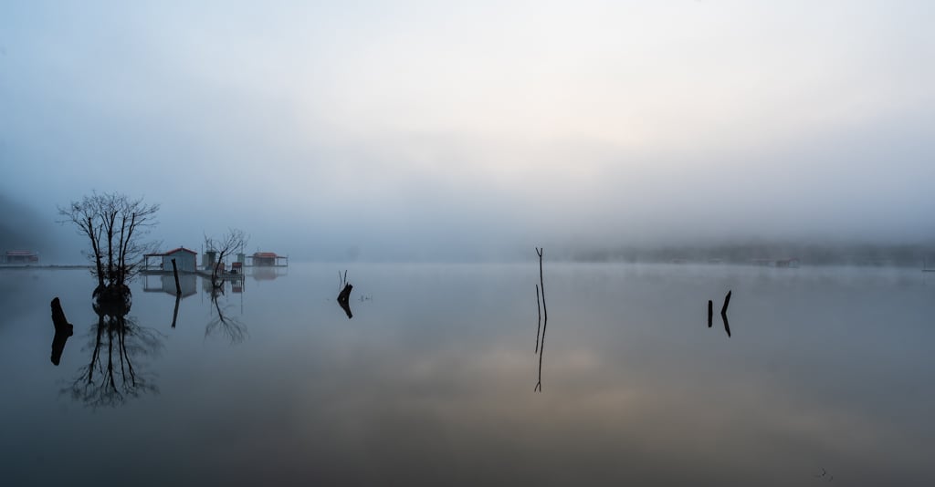 은행나무와 짙은 안개가 신비로웠던 문광저수지 아침 안개 풍경 36