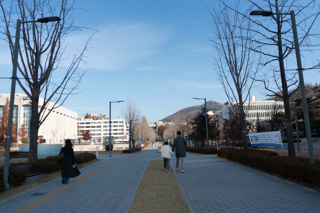 추억속에서 연세대 가을을 담다 69 연세대 정문에서 본관으로 가는 연세대 백양로