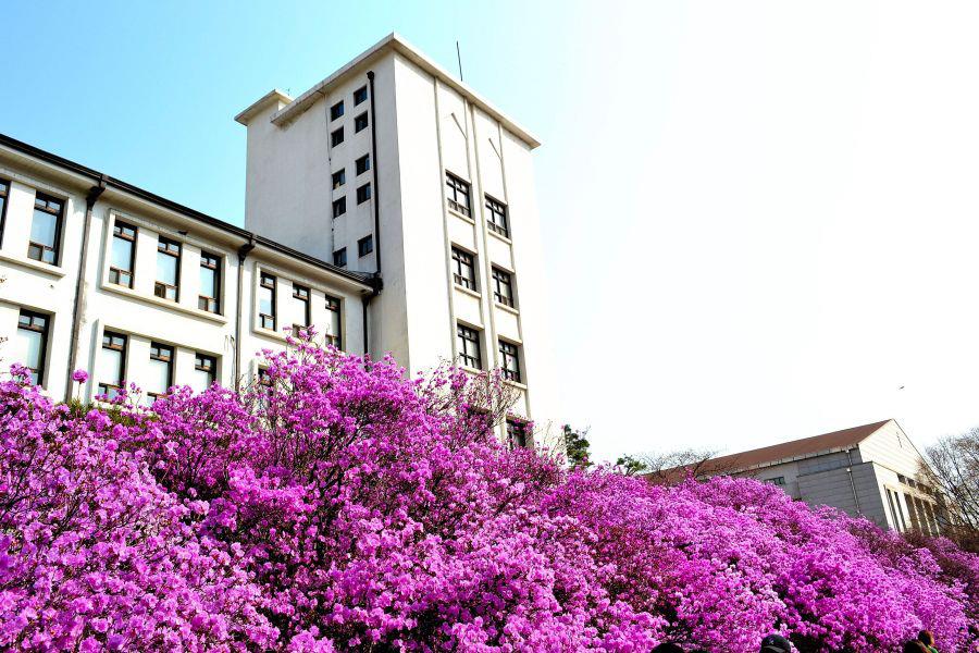 추억속에서 연세대 가을을 담다 80 추억속에서 연세대 가을을 담다 20