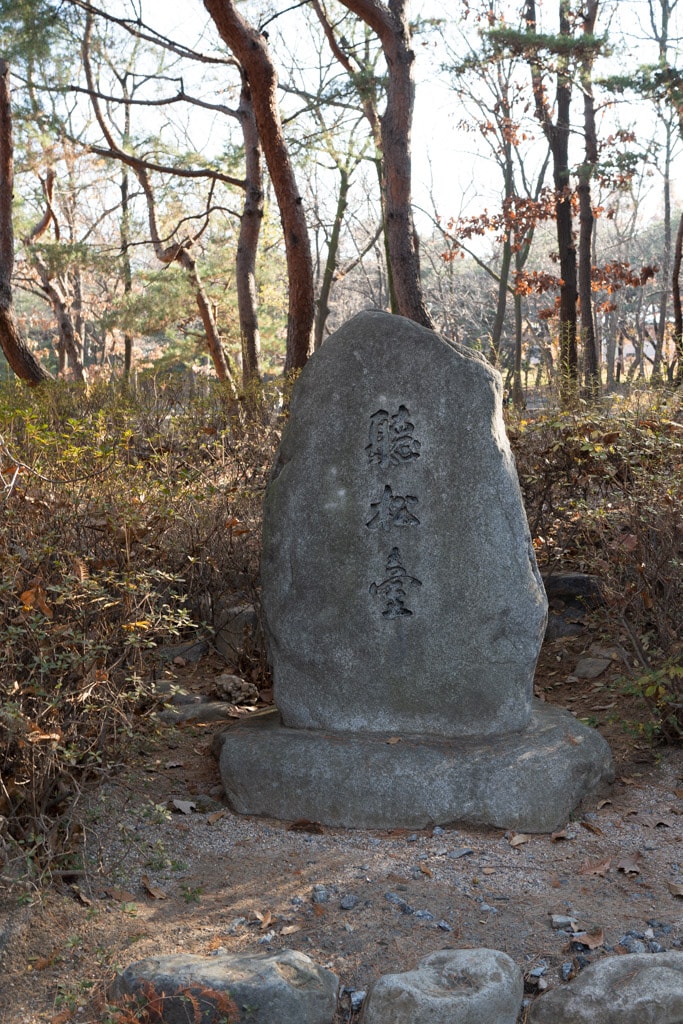 추억속에서 연세대 가을을 담다 84 추억속에서 연세대 가을을 담다 23