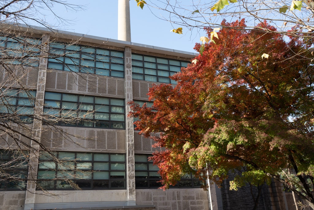 2022년 이화여대 가을 풍경, feat 논술고사 19 2022년 이화여대 가을 풍경, feat 논술고사 19