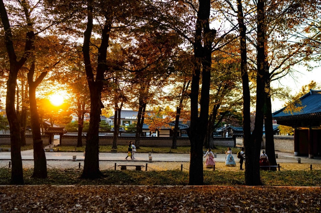 전주 한옥마을을 다녀오다 37 전주 한옥마을, 경기전 내 풍광