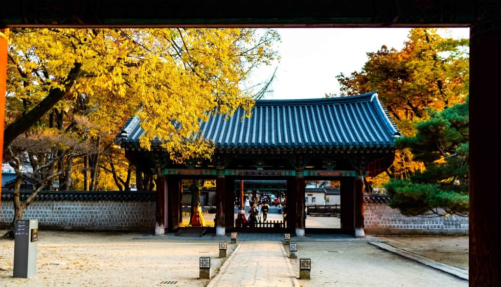 전주 한옥마을을 다녀오다 32 전주 한옥마을, 경기전 안에서 바라본 경기전 입구 건물,역시 은행잎 단푸이 한창이다.