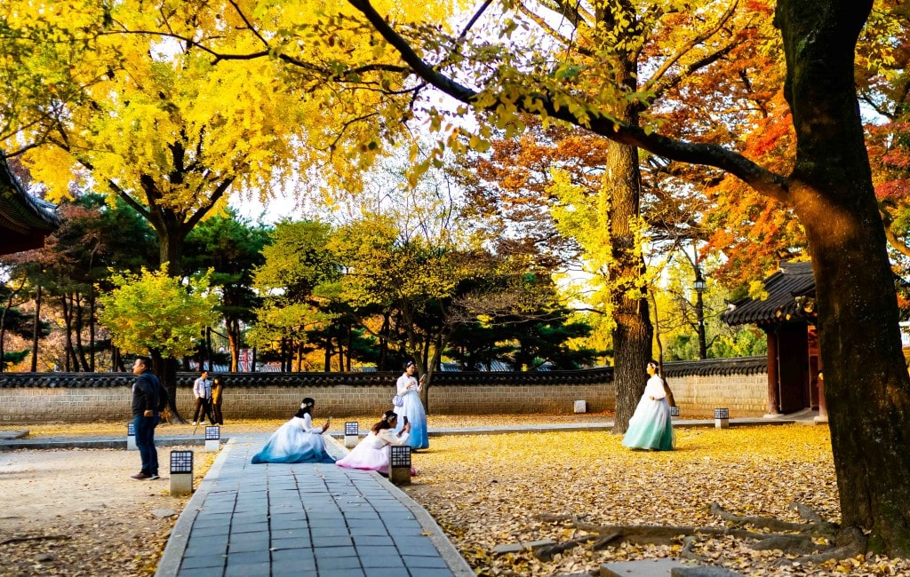 전주 한옥마을, 경기전 은행나무 아래서 사진을 찍고 있는 여인들, 사진을 찍는 자세에서 진심이 느껴진다.