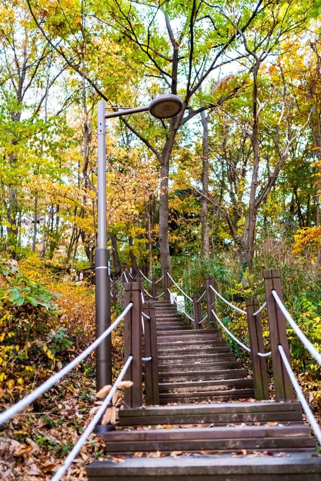 전주 한옥마을을 다녀오다 22 전주 한옥마을,오목대로 오르는 나무 계단