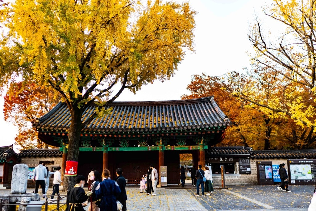 전주 한옥마을을 다녀오다 31 전주 한옥마을,은행나무가 인상적인 경기전 앞 풍경,