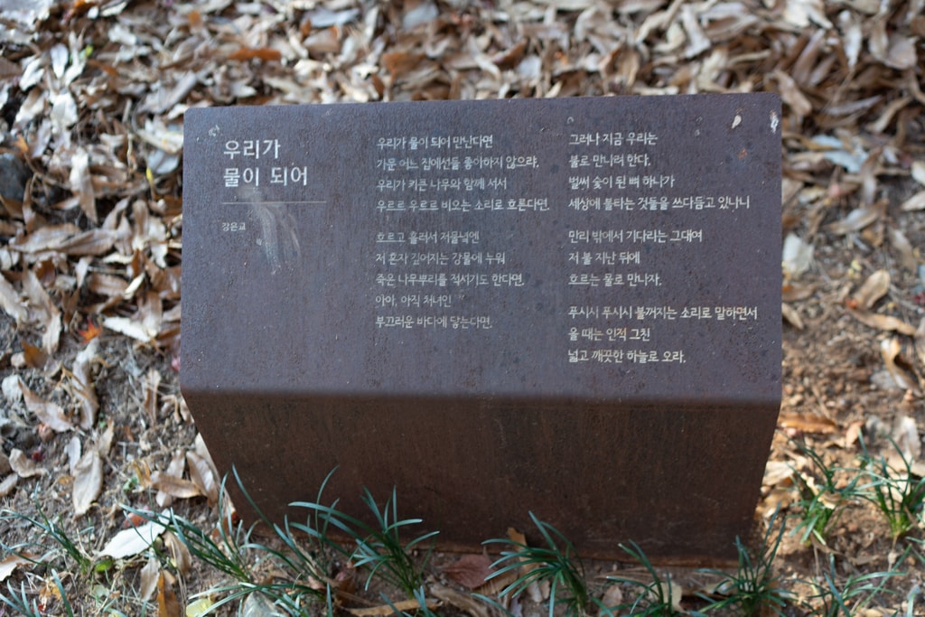 추억속에서 연세대 가을을 담다 85 추억속에서 연세대 가을을 담다 24
