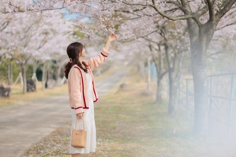 제주 여행, 제주 이승악오름 벚꽃을 즐기는 소녀의 모습, Photo by 제주 스냅 사진작가 이준호 님