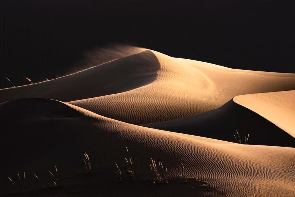 2022년 국제 풍경 사진가 2위 불굴의 삶 Tony Wang(중국)