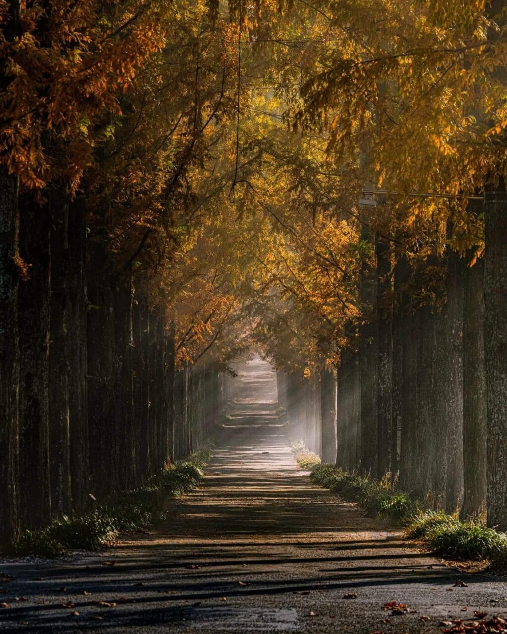 계절별 출사지 총정리, 사계절별 사진찍기 좋은 곳을 소개 72