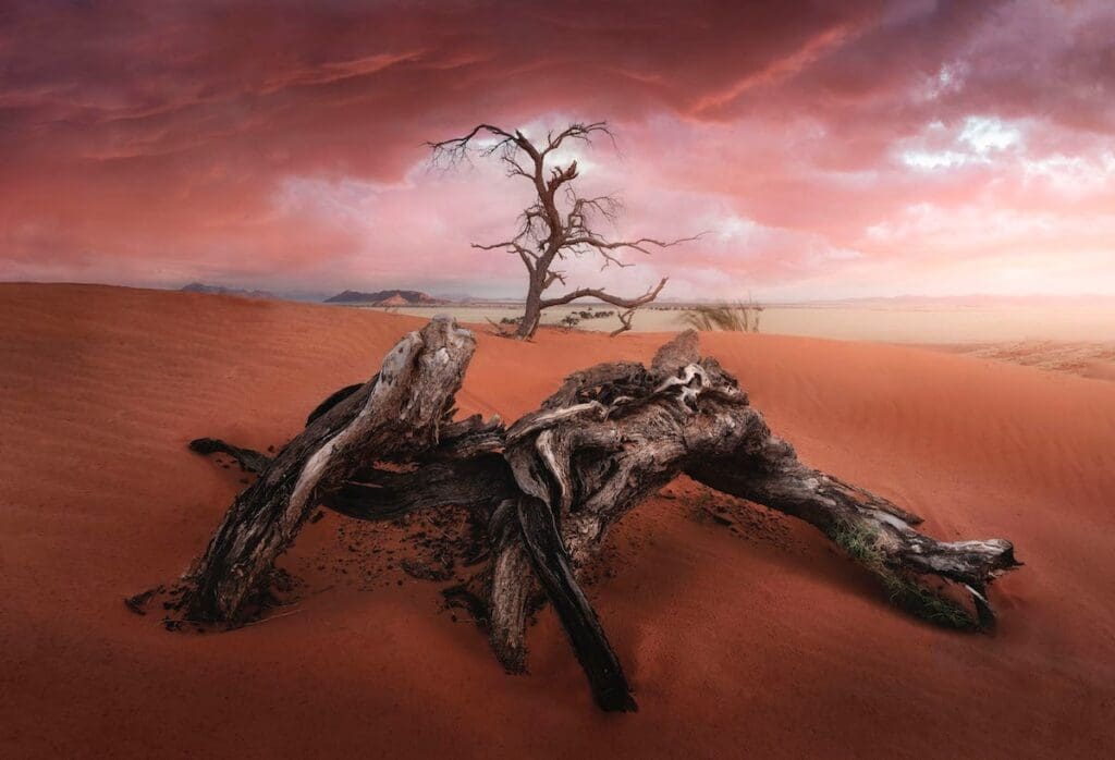 놀라운 구름 부문 우승 Jose D. Riquelme(스페인)