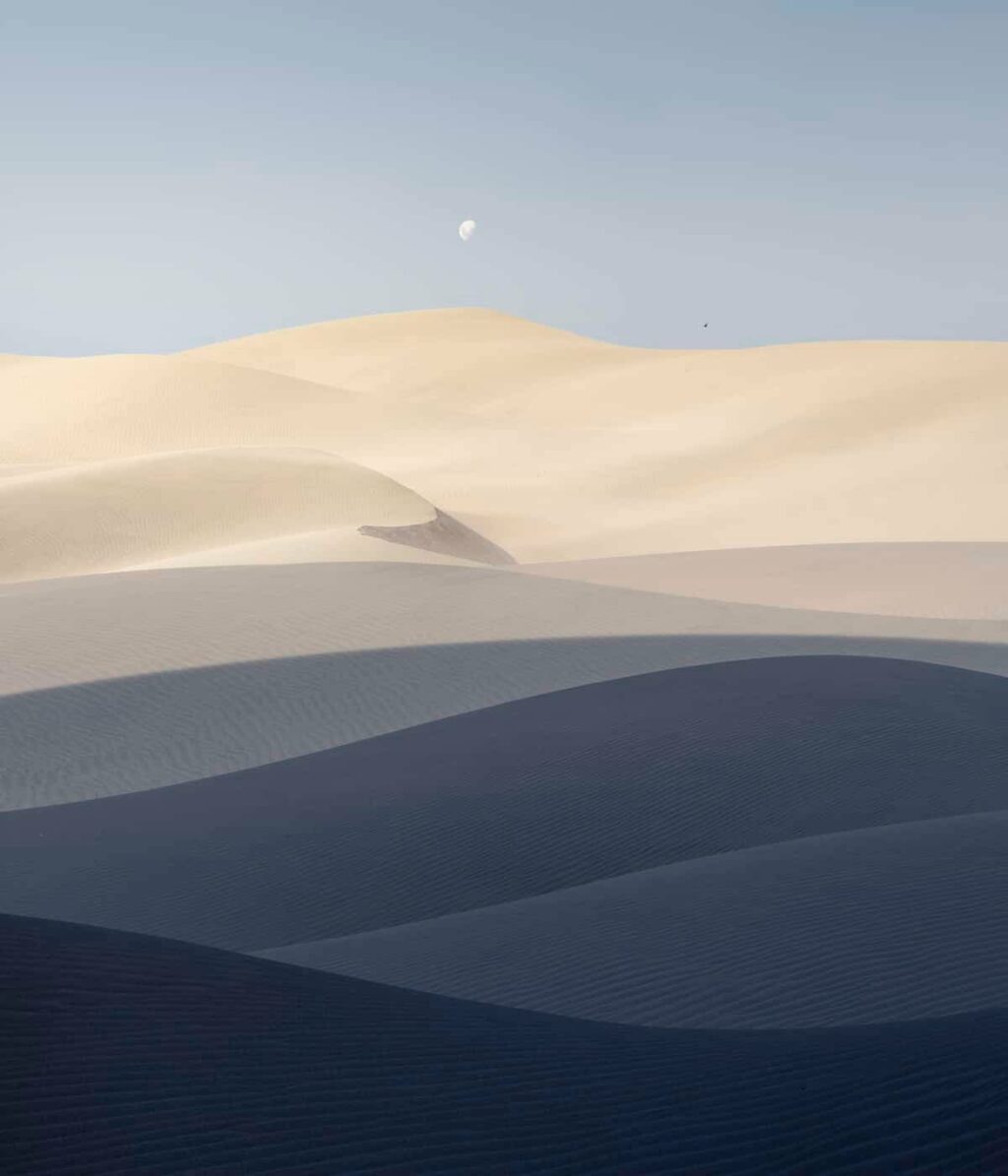 2022년 국제 풍경 사진가 대회 수상자들 9