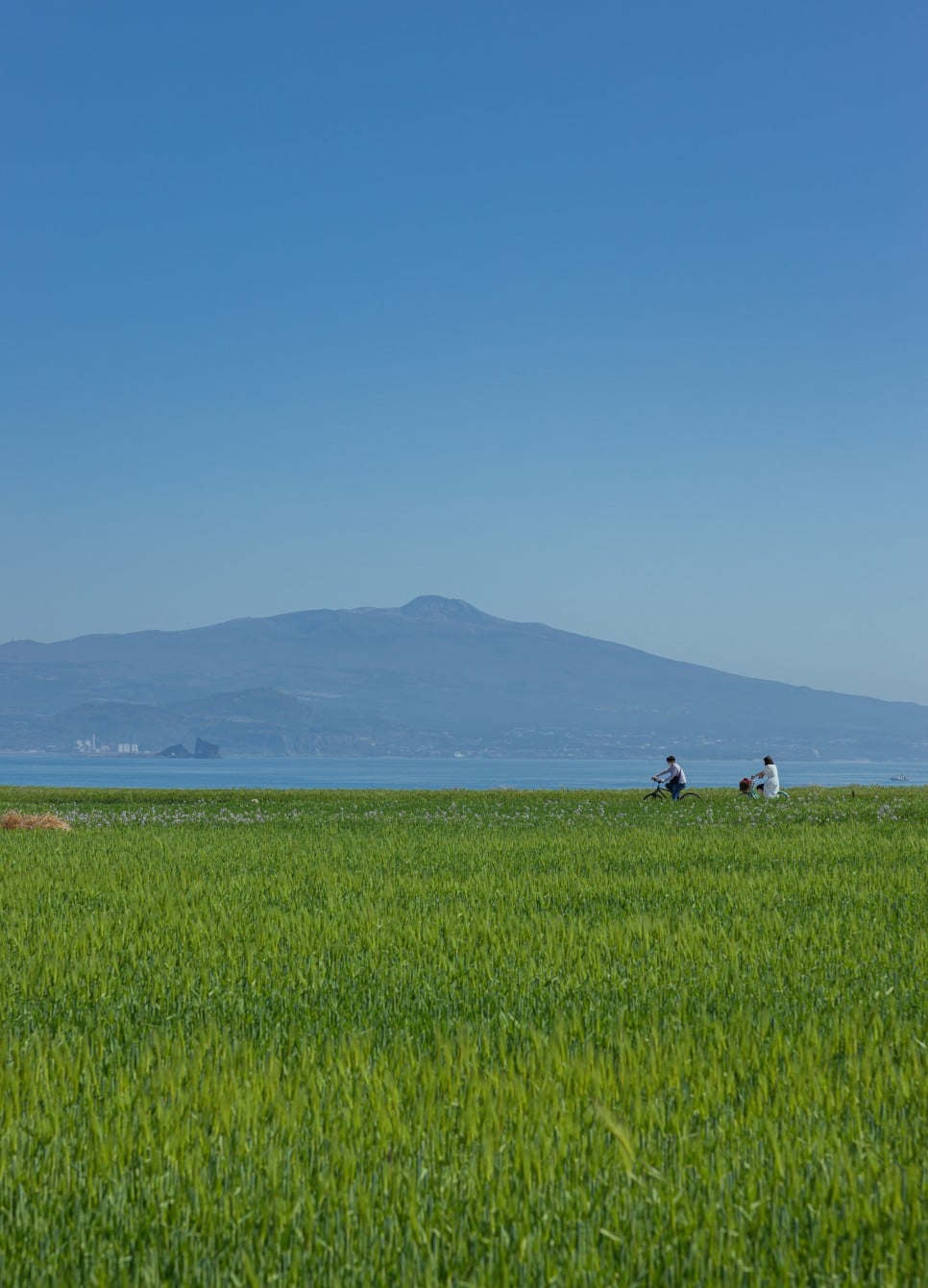 제주 가파도, 청보리밭과 자전거타느 연인, Photo by 한민주