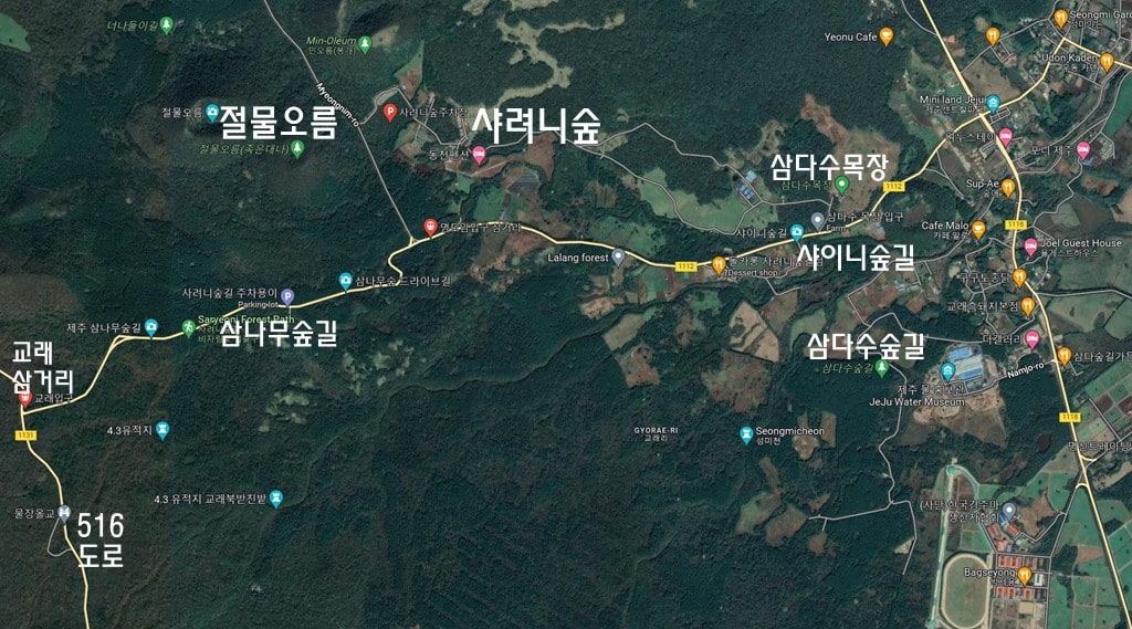제주 출사 여행을 위한 아름다운 제주 여행지 48 제주 드라이빙 도로, 제주 삼나무숲길 지도
