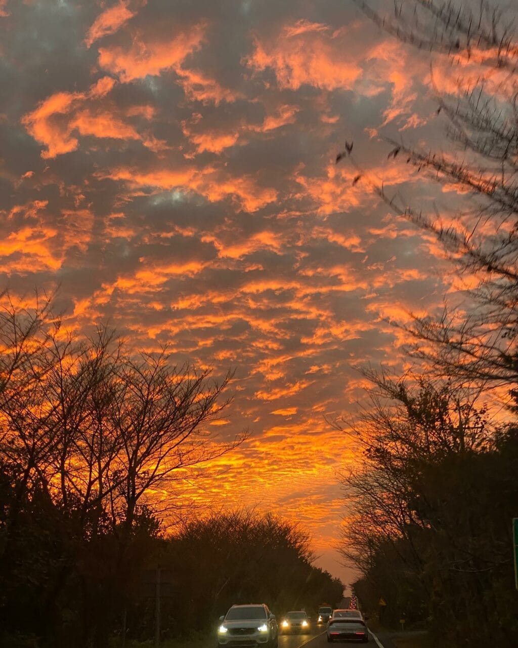 제주 출사 여행을 위한 아름다운 제주 여행지 26 제주 산록도로 노을,Photo from all_jeju instagram