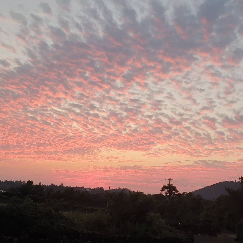 제주 여행, 수월봉 석양 풍경, Photo from jejubejjang2 Instagram