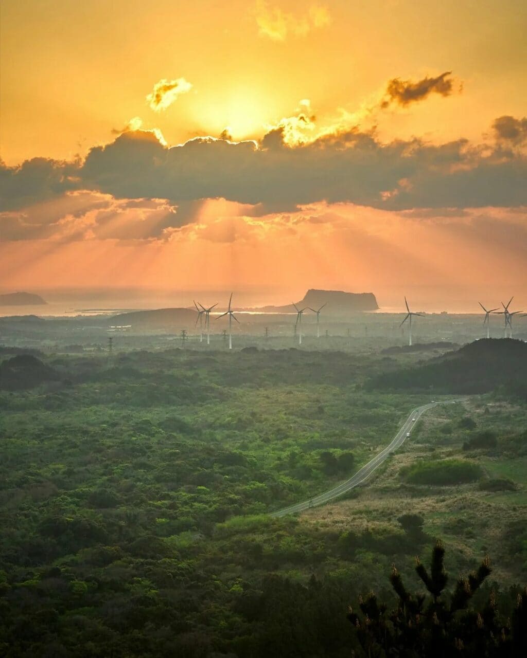 제주 출사 여행을 위한 아름다운 제주 여행지 17 제주 여행, 알오름 일출, Photo from jejudo_here instagram
